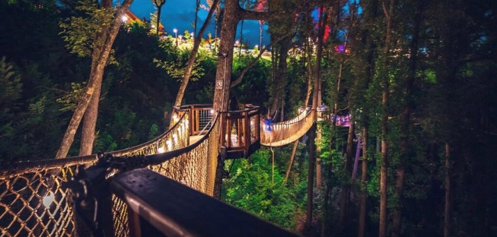 Tennessee's Treetop Skywalk is the Longest Tree-Based Bridge in North America!