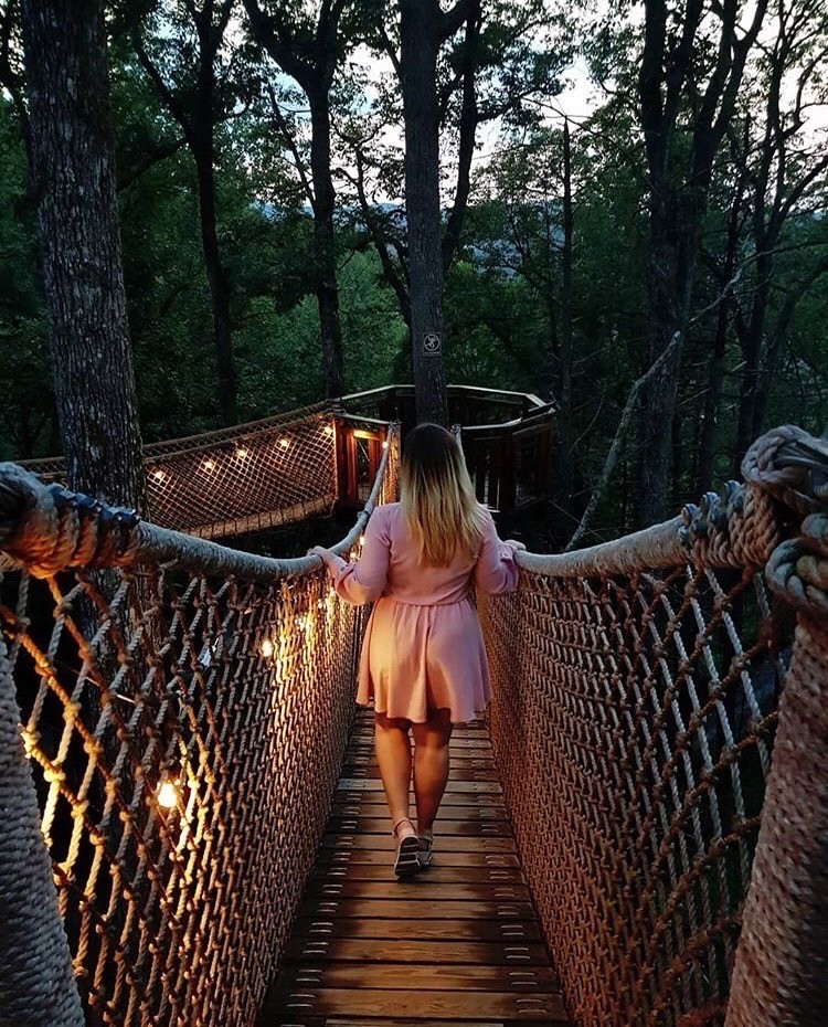Tennessee's Treetop Skywalk is the Longest Tree-Based Bridge in North America!