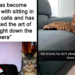 Unexplainable Cat Behaviors, And Here Are 20 Of The Most Unhinged