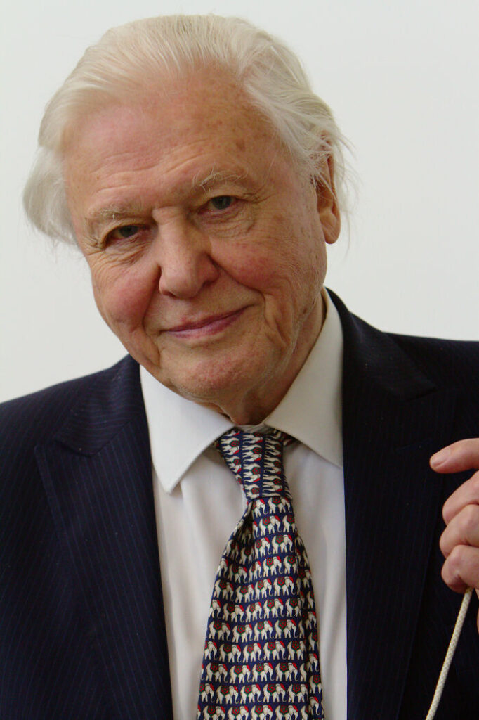 Nature Documentary Fans Are Excited To Hear 97 Y.O. David Attenborough Is Making A Return On BBC
