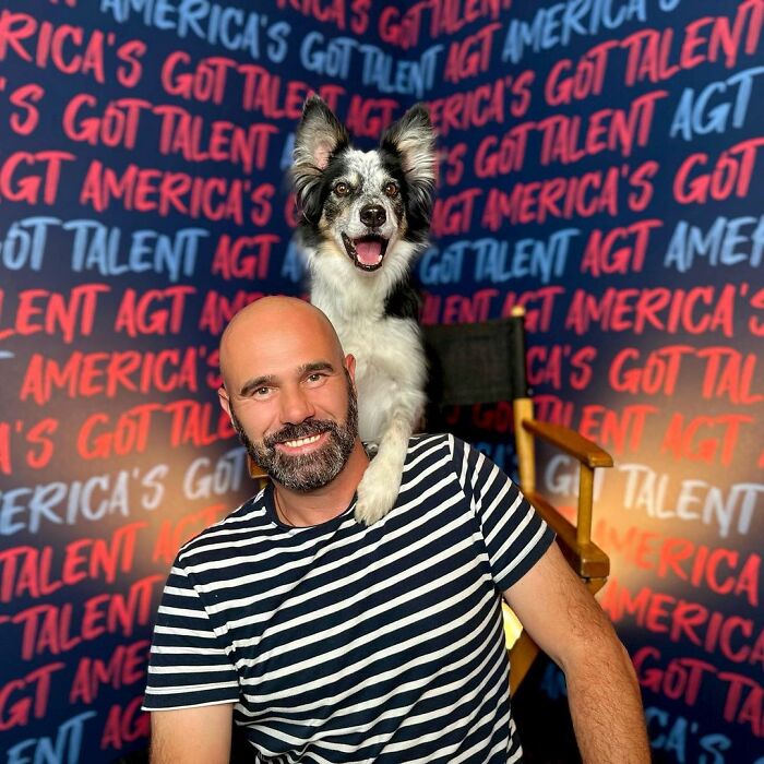 dog-wins-Americas-talent