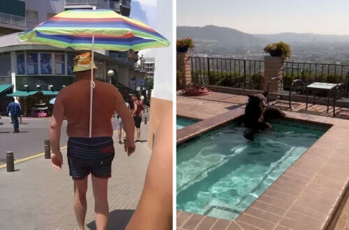 15 Raw And Funny Pics From People Who Were Just Trying To Get Through A Summer Heatwave