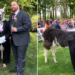 A wedding is one of the most memorable events in a couple's life, and selecting the guests is crucial. However, even meticulous planning can't predict if a non-human guest might steal the show. Recently, at an upstate New York wedding, a llama named J dressed in a unique tuxedo stole the show and looked like a dapper groomsman.