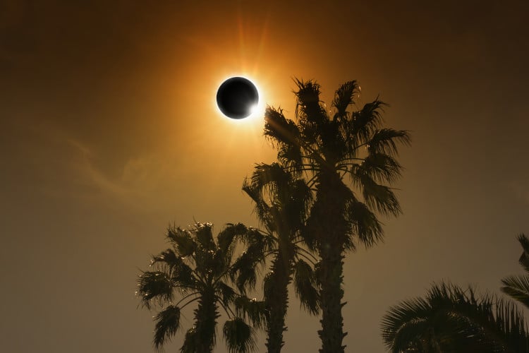 Here’s How to Watch the “Ring of Fire” Eclipse Taking Place This Month