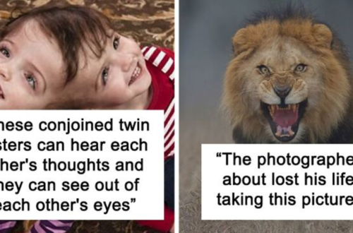 15 Facts That You Might Have A Hard Time Believing, Shared In This Facebook Group