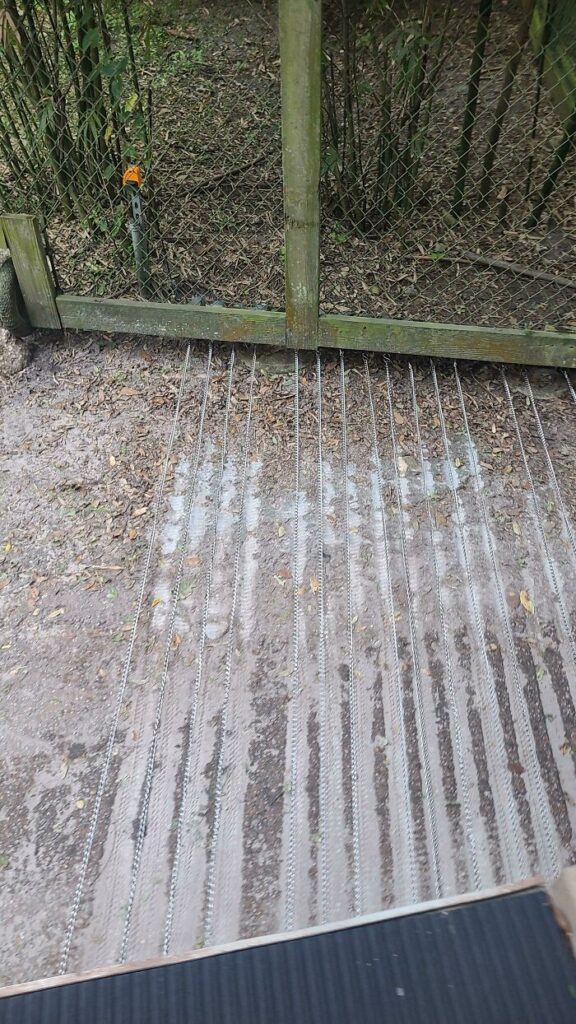 “What Is This Thing?”: 12 Times People Stumbled Upon Mysterious Objects